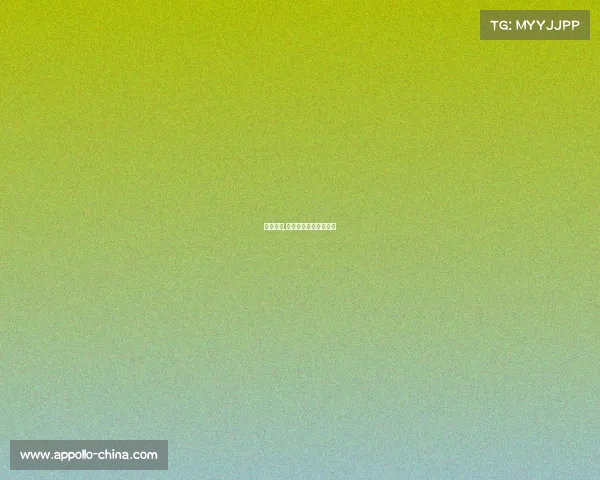 世拓赛事,世拓网络科技有限公司