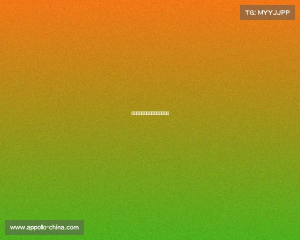 中国排球赛事中国排球赛事一览表