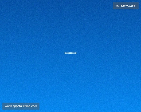 体育部可以举办的活动