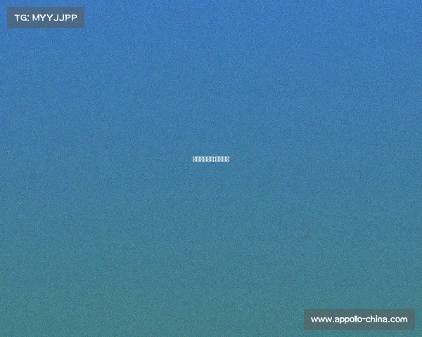 搏击赛事总监;搏击冠军