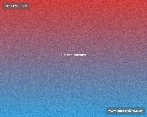 11月5日赛事-11月国际比赛日时间安排