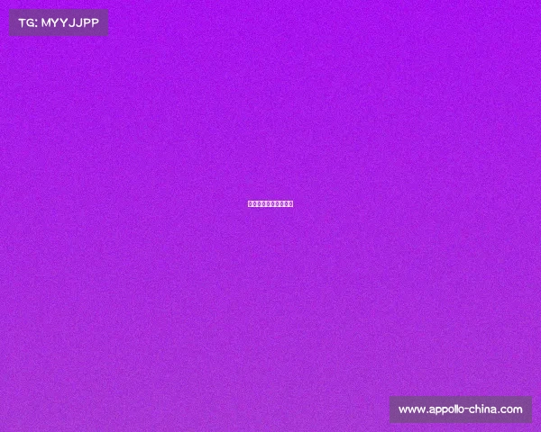 体育赛事完整的计划书